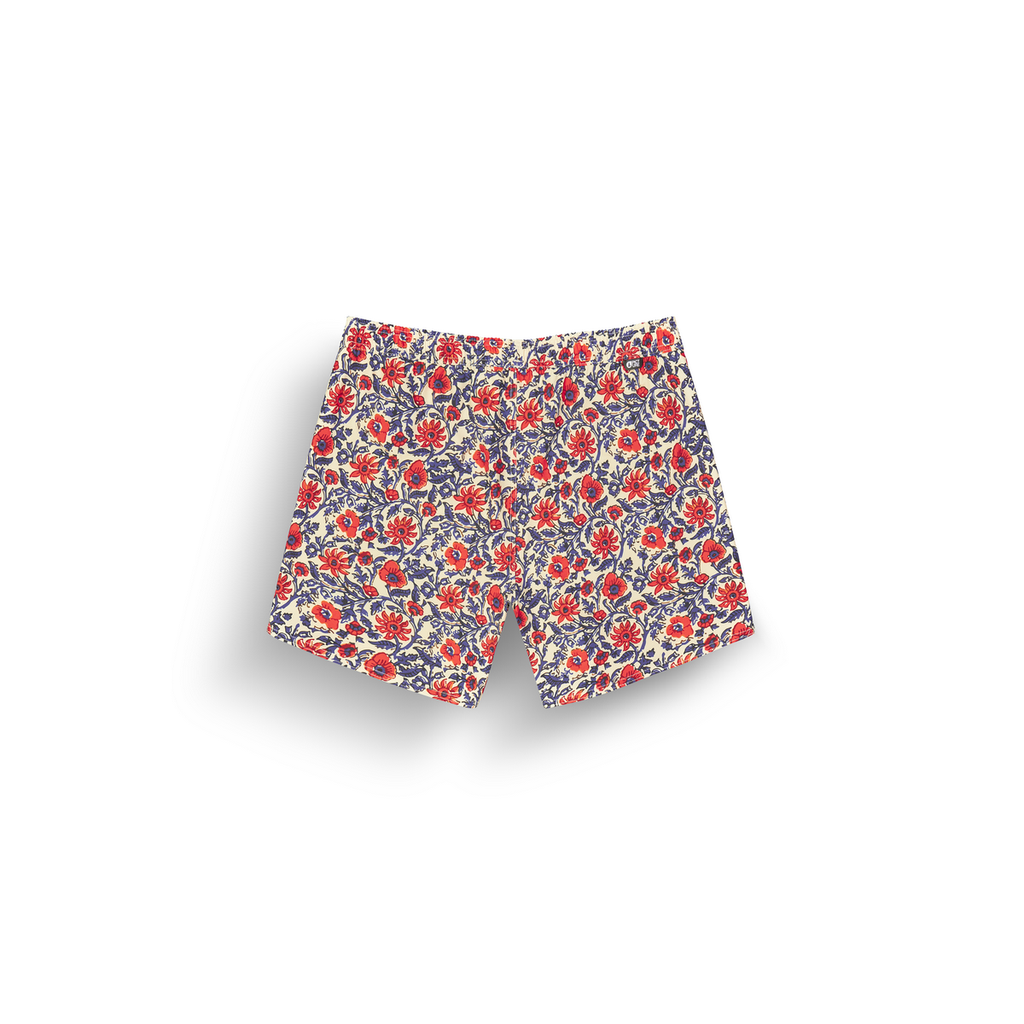PIAU 15 PRINTED BRDS B ASTER PRINT