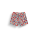 PIAU 15 PRINTED BRDS B ASTER PRINT