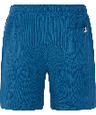 PRTGRAIG SHORTS RAKU BLUE