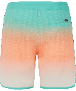 PRTCHAD BEACHSHORT WAVE GREEN