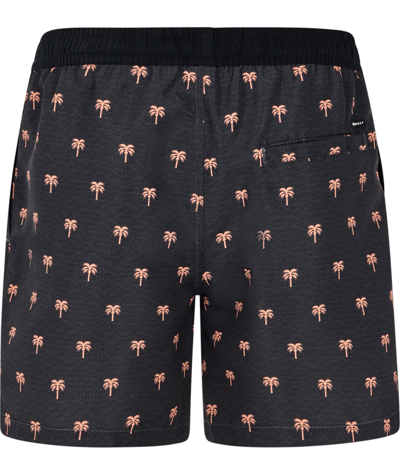 PRTPARCO BEACHSHORT DEEP GREY