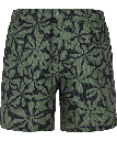 PRTBAZA BEACHSHORT ARTIC GREEN