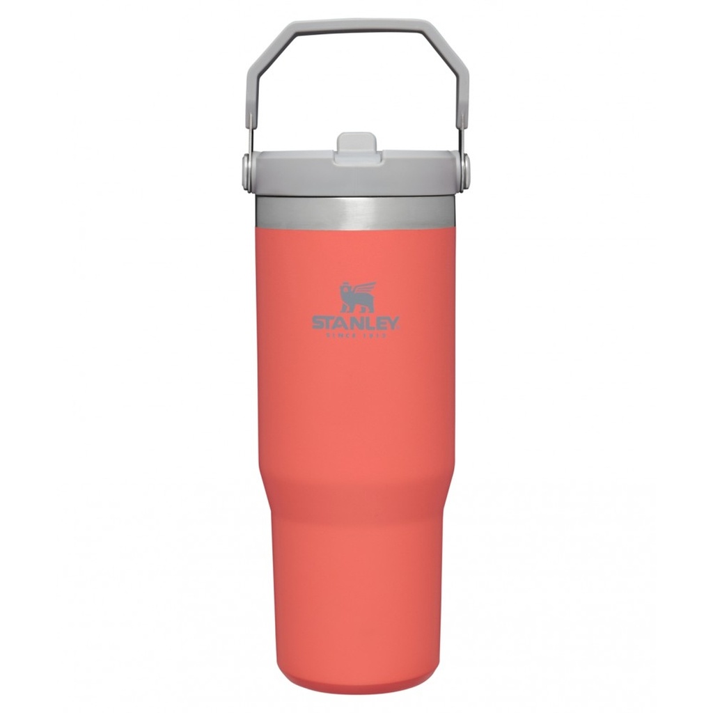 ICE FLOW 0,89L NARANJA GUAYABA