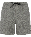 PRTWYTONA BEACHSHORT SOIL GREY