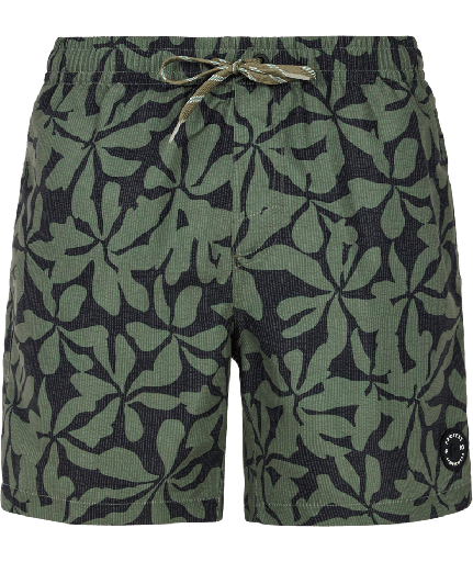 PRTBAZA BEACHSHORT ARTIC GREEN