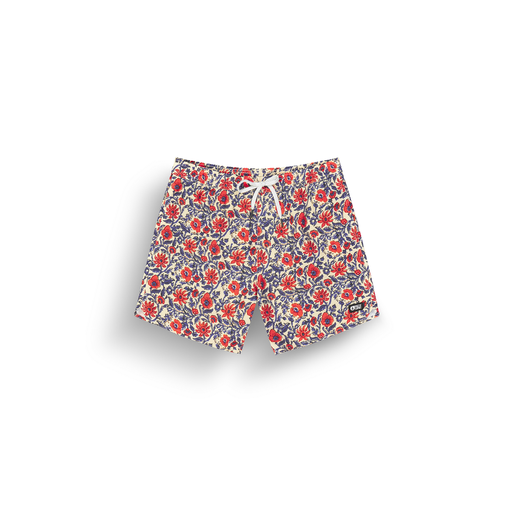 PIAU 15 PRINTED BRDS B ASTER PRINT