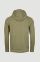 BLOCK HOODIE DEEP LICHEN GREEN