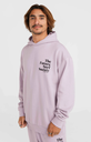 FUTURE SURF SOCIETY HOODIE IRIS