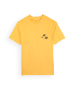 R1SHAPER-SST AMBRE