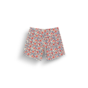 ANDY HERITAGE P 17 BRDS B ASTER PRINT