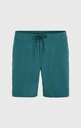 JACK O'NEILL SOLID FREAK 17&quot; BOARDSHORTS BEETLE JUICE