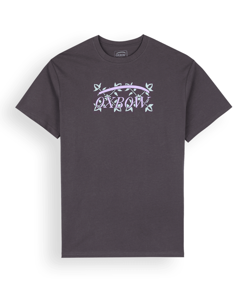 R1ICON-SST VOLCANO