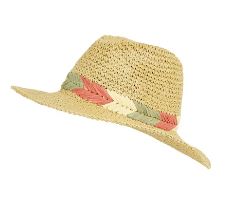 [PR-9611231] PRO PRTFORBESI HAT TUMERICYELL